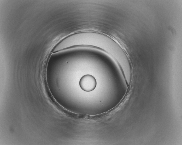 X0000115690193200911251820