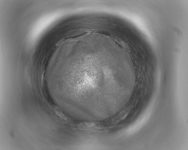 X0000115690194200911251820