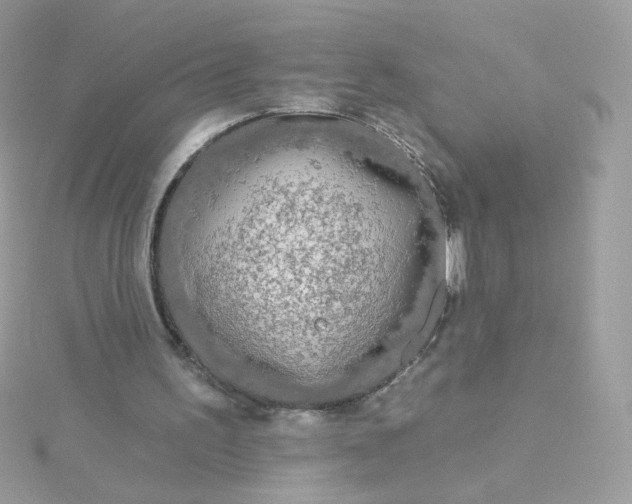 X0000115690195200911251820