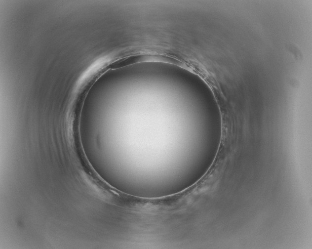 X0000115690197200911251820