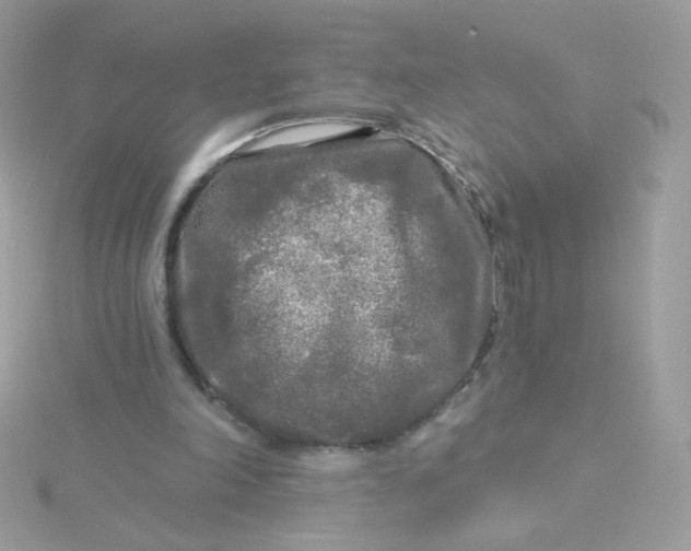 X0000115690198200911251820