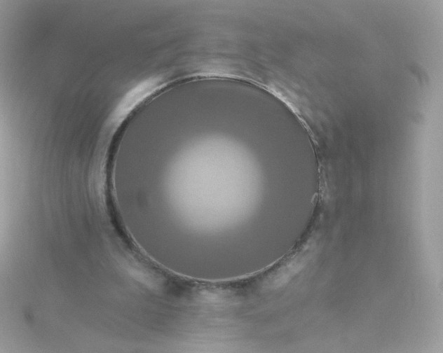 X0000115690199200911251820