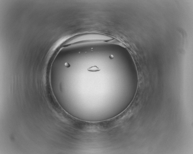 X0000115690200200911251820