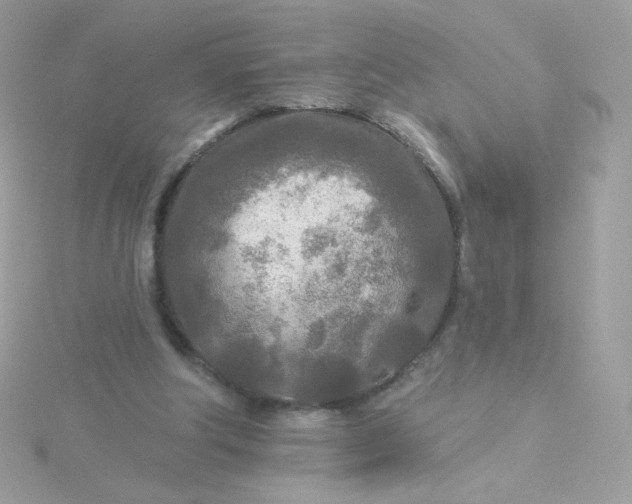 X0000115690202200911251820