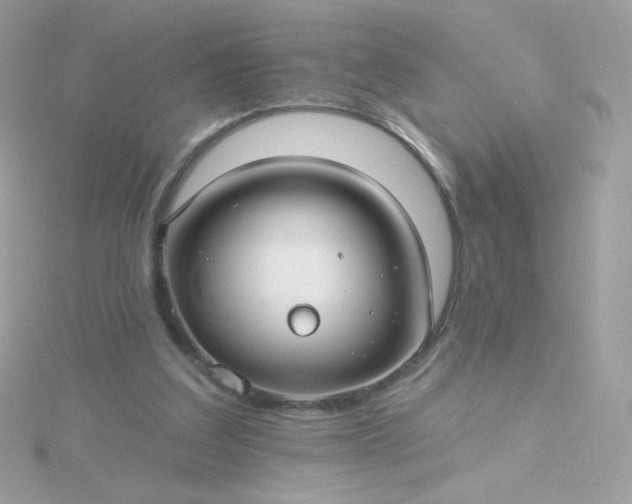 X0000115690203200911251820