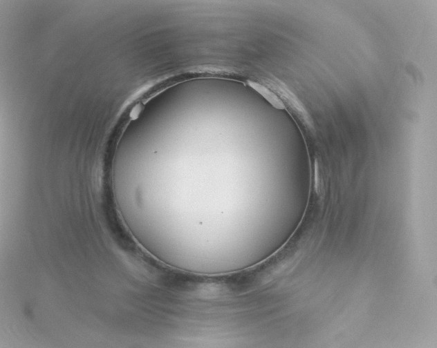 X0000115690204200911251820