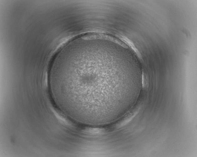 X0000115690205200911251820