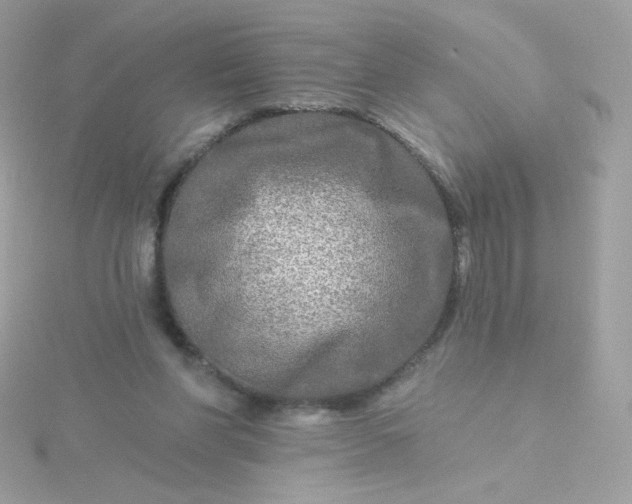 X0000115690206200911251820