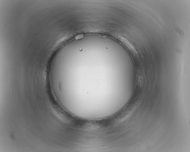 X0000115690207200911251820