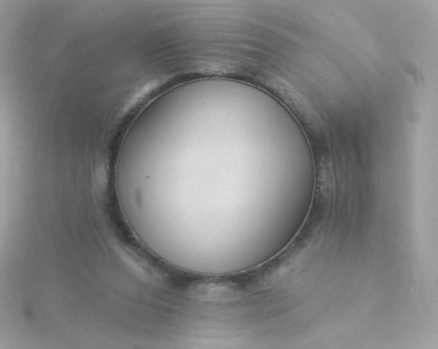 X0000115690208200911251820