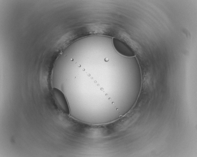 X0000115690209200911251820