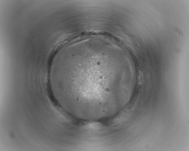 X0000115690210200911251820