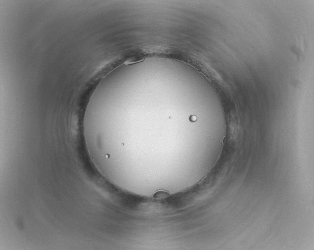 X0000115690211200911251820