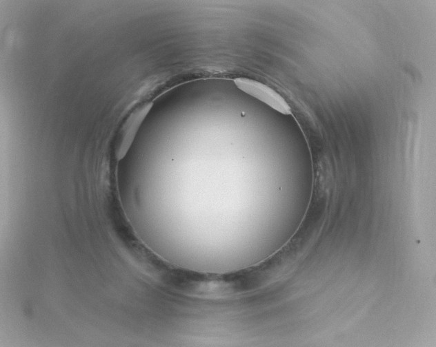 X0000115690212200911251820