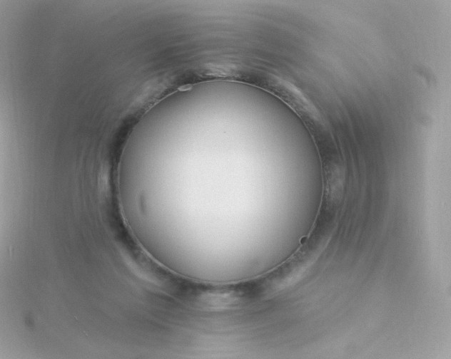 X0000115690213200911251820