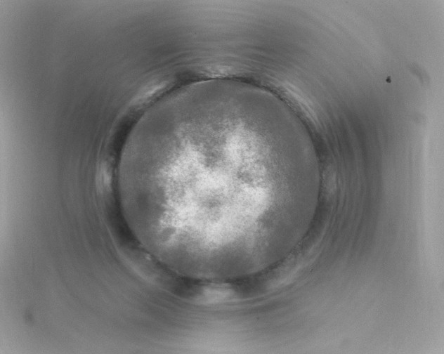 X0000115690214200911251820