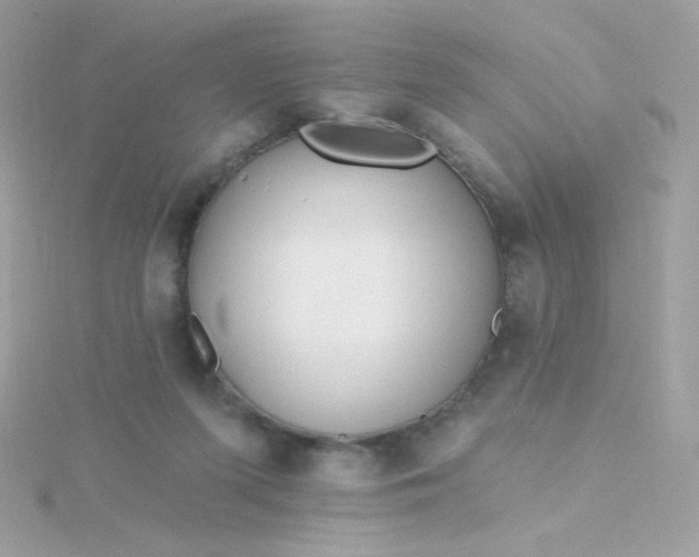 X0000115690215200911251820