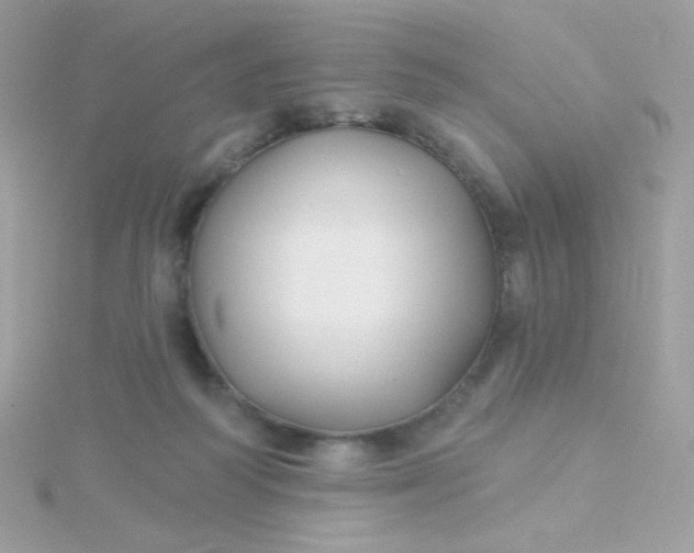 X0000115690218200911251820