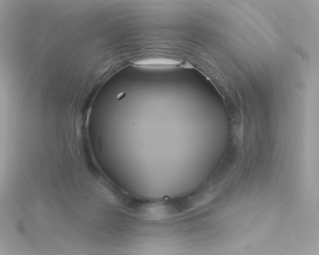 X0000115690219200911251820