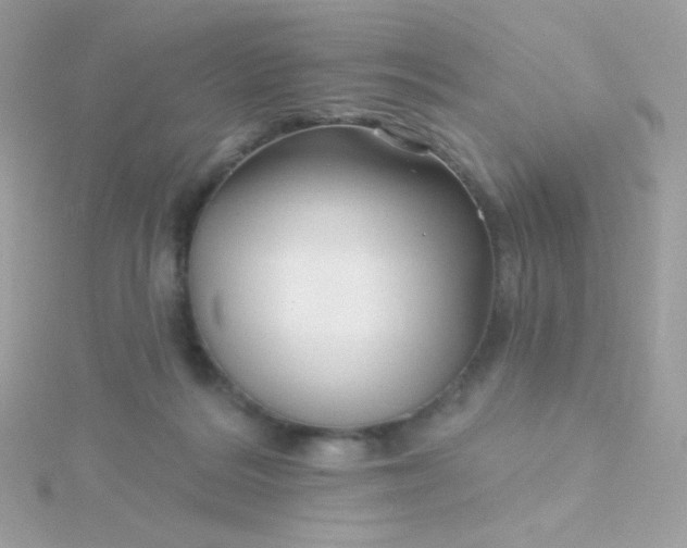 X0000115690220200911251820