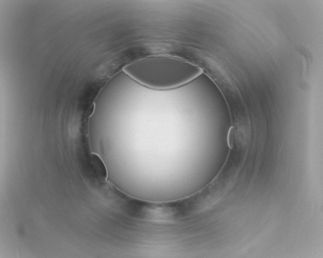 X0000115690221200911251820