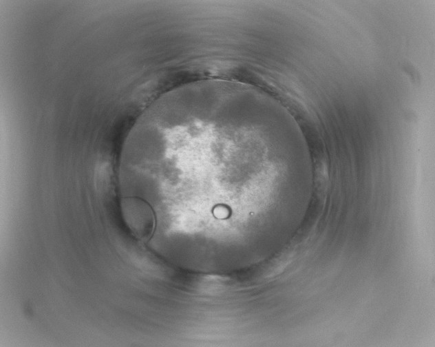 X0000115690222200911251820