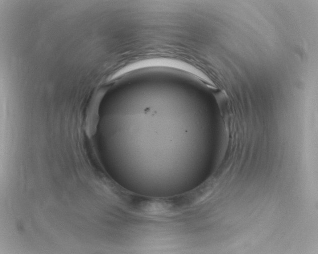 X0000115690223200911251820