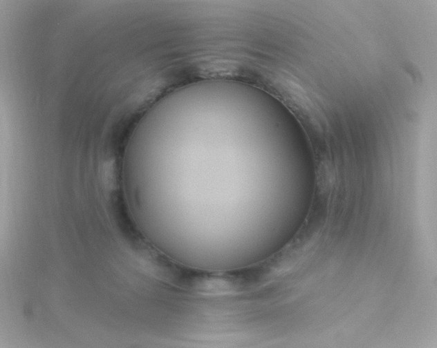 X0000115690224200911251820