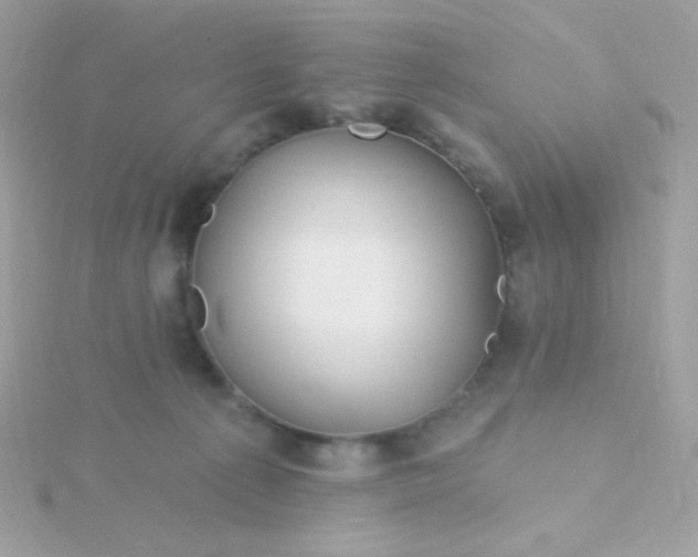 X0000115690225200911251820