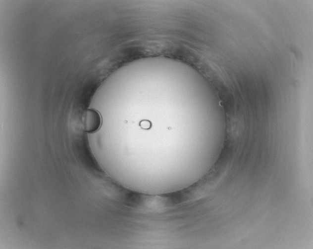 X0000115690226200911251820