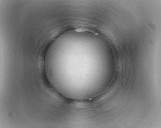 X0000115690228200911251820