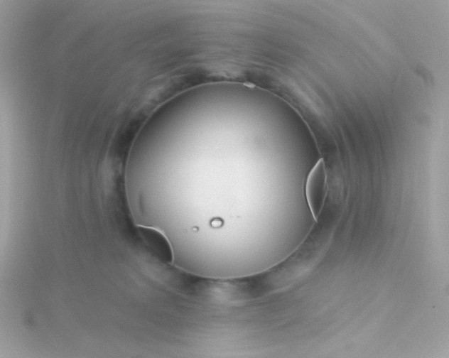 X0000115690229200911251820