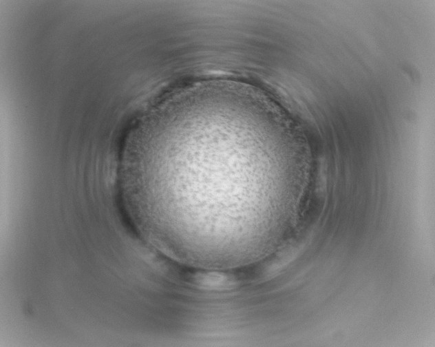 X0000115690230200911251820