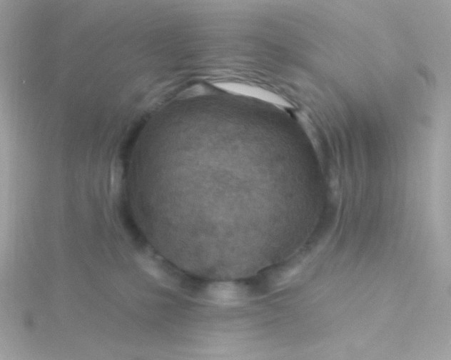 X0000115690231200911251819