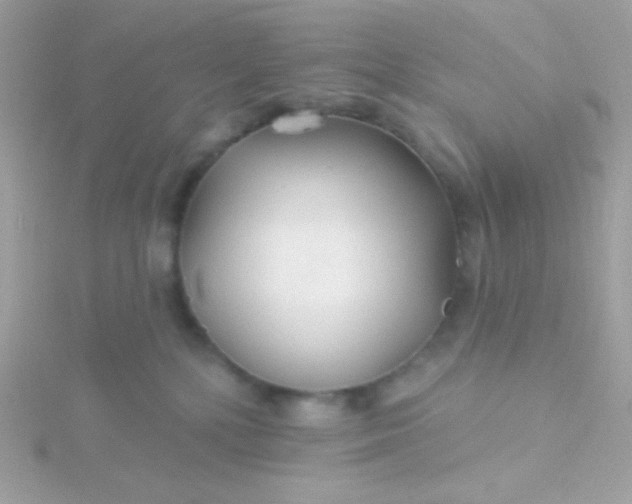 X0000115690232200911251819