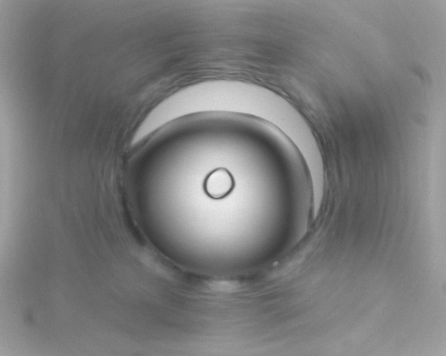 X0000115690233200911251819