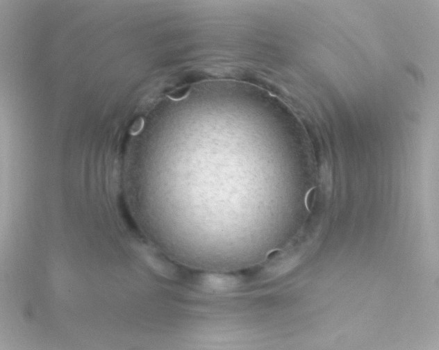 X0000115690234200911251819