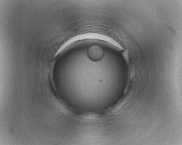 X0000115690235200911251819