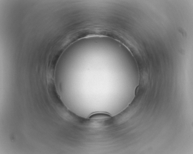 X0000115690236200911251819