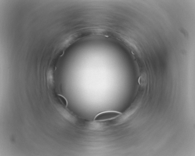 X0000115690238200911251819