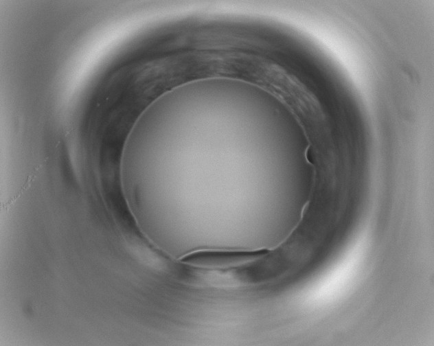 X0000115690239200911251819