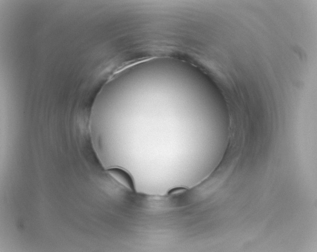 X0000115690240200911251819