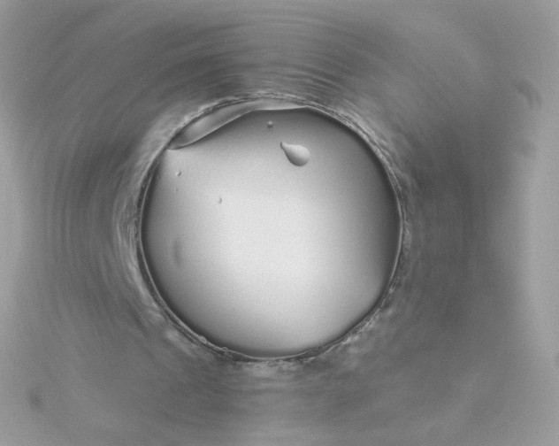 X0000115690241200911251819