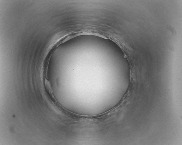 X0000115690242200911251819