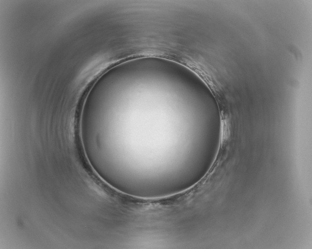 X0000115690243200911251819