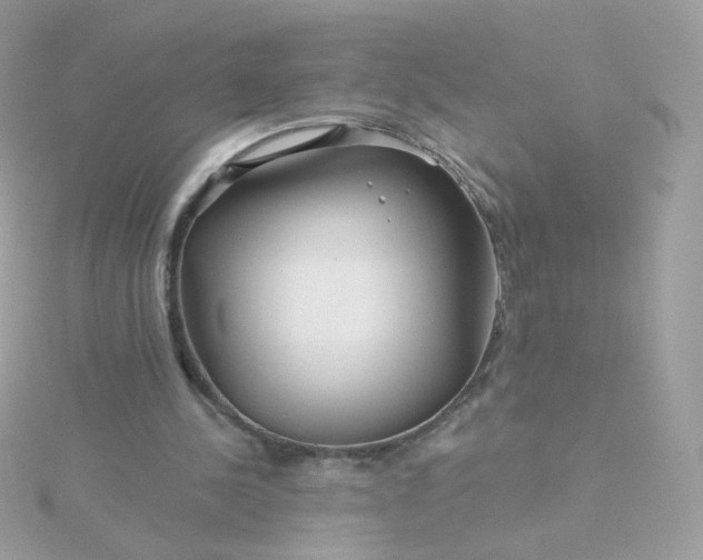 X0000115690244200911251819