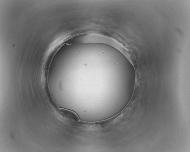 X0000115690245200911251819