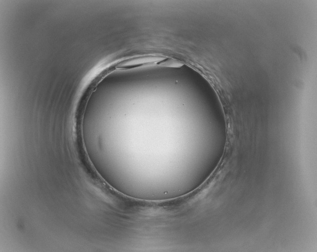 X0000115690246200911251819