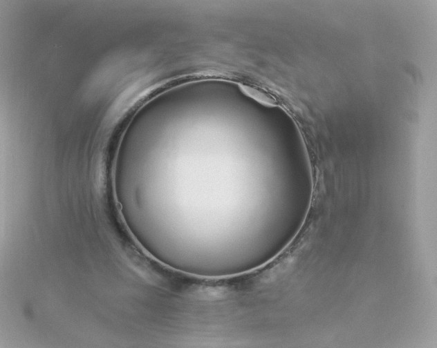 X0000115690247200911251819