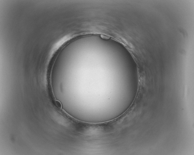 X0000115690248200911251819